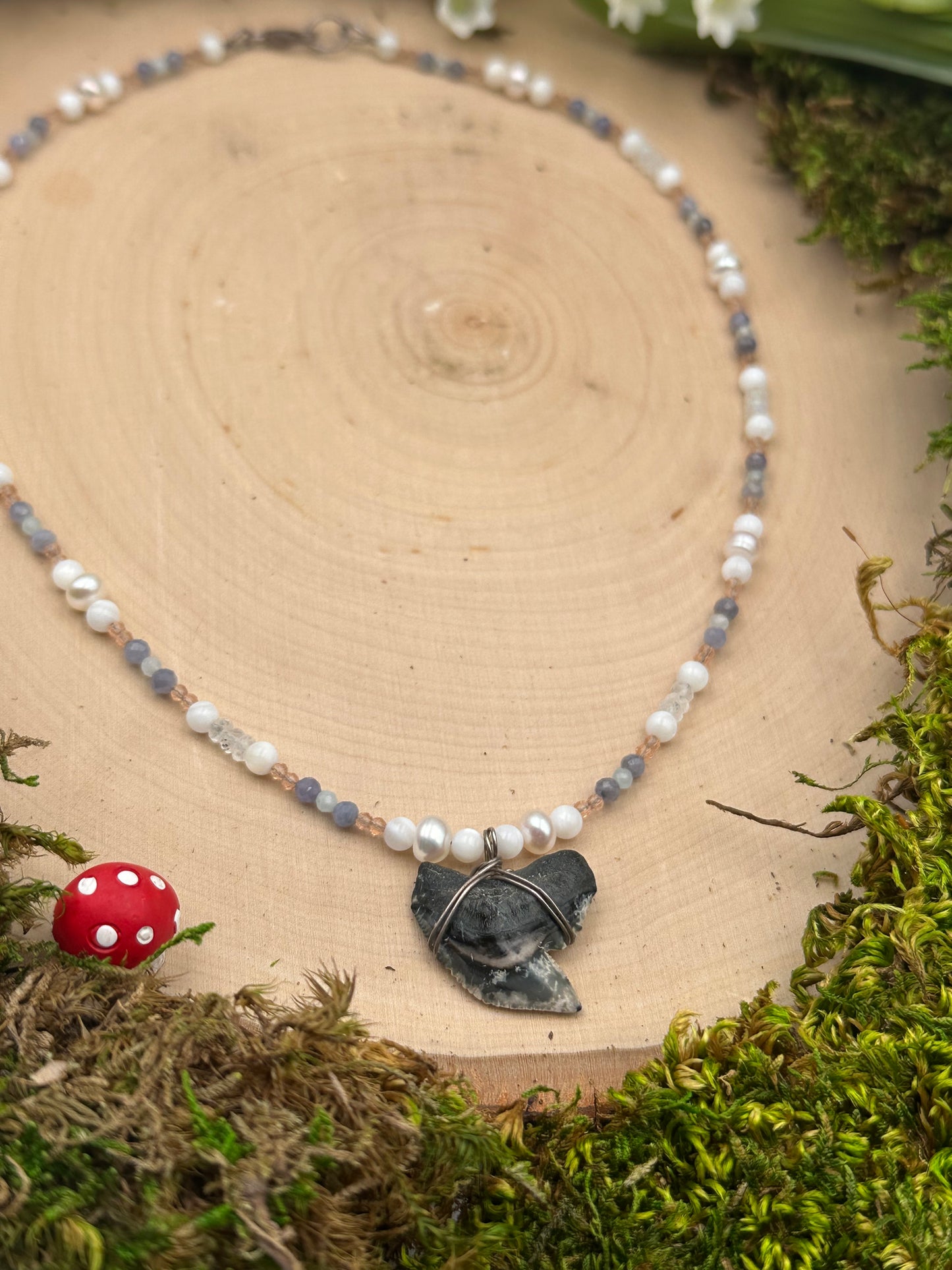 🪻Pastel Bloom - Fossil Tiger Shark Tooth Necklace