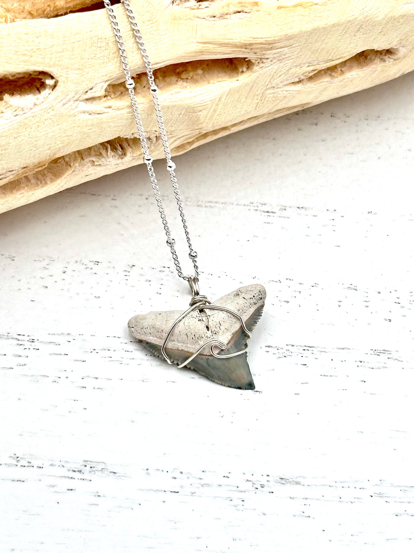 Wave Collection Dainty Bull Shark Tooth Pendant (Bone Valley, FL)