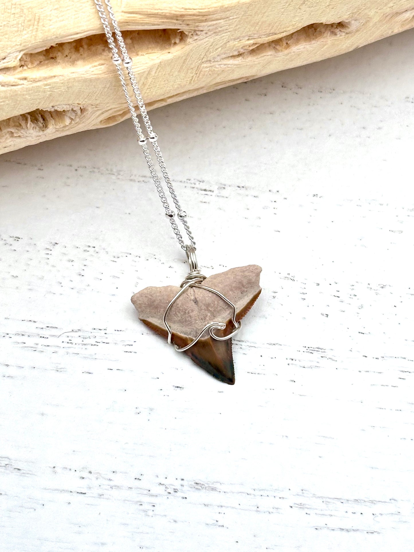 Wave Collection Dainty Bull Shark Tooth Pendant (Bone Valley, FL)