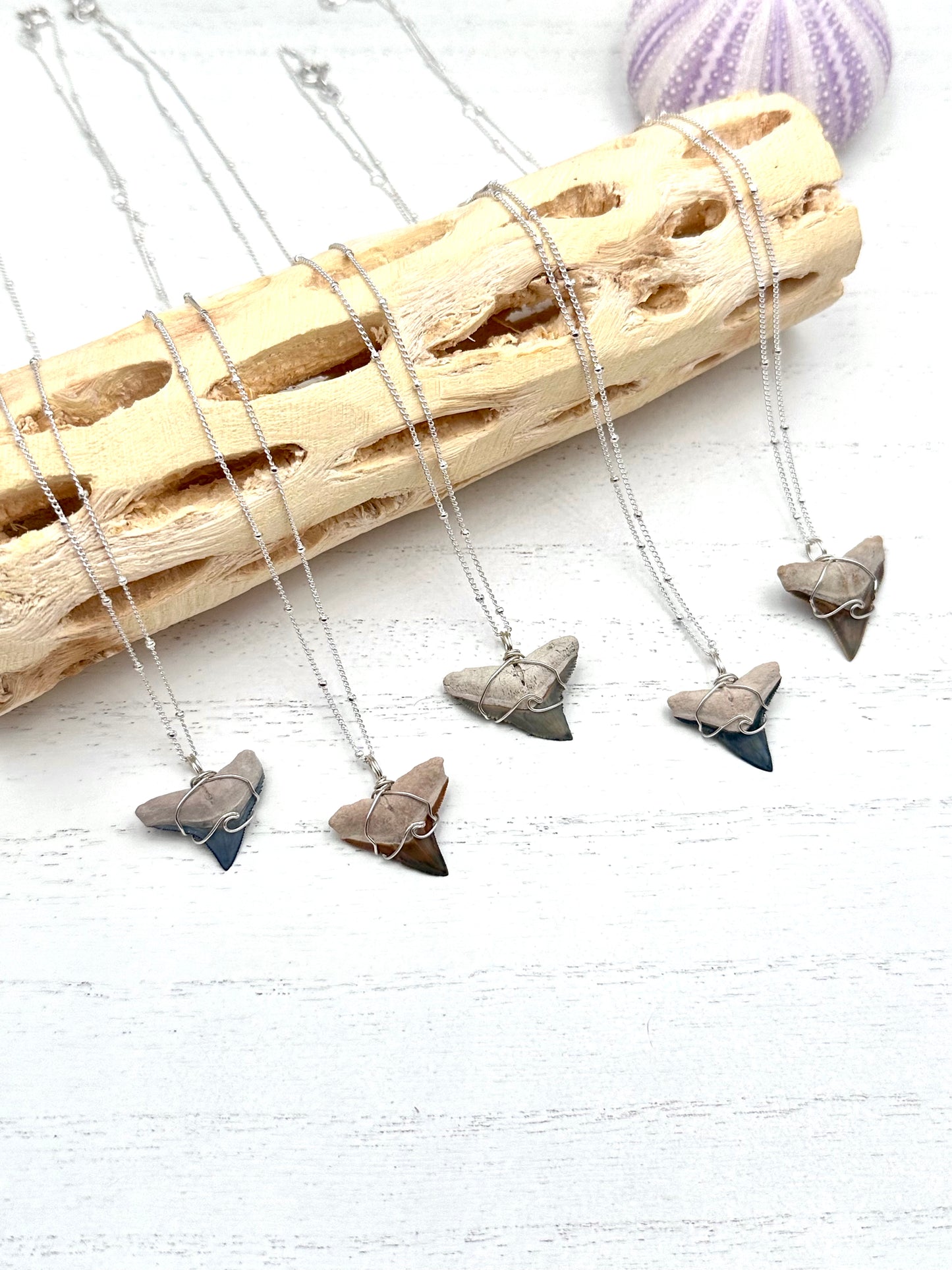 Wave Collection Dainty Bull Shark Tooth Pendant (Bone Valley, FL)