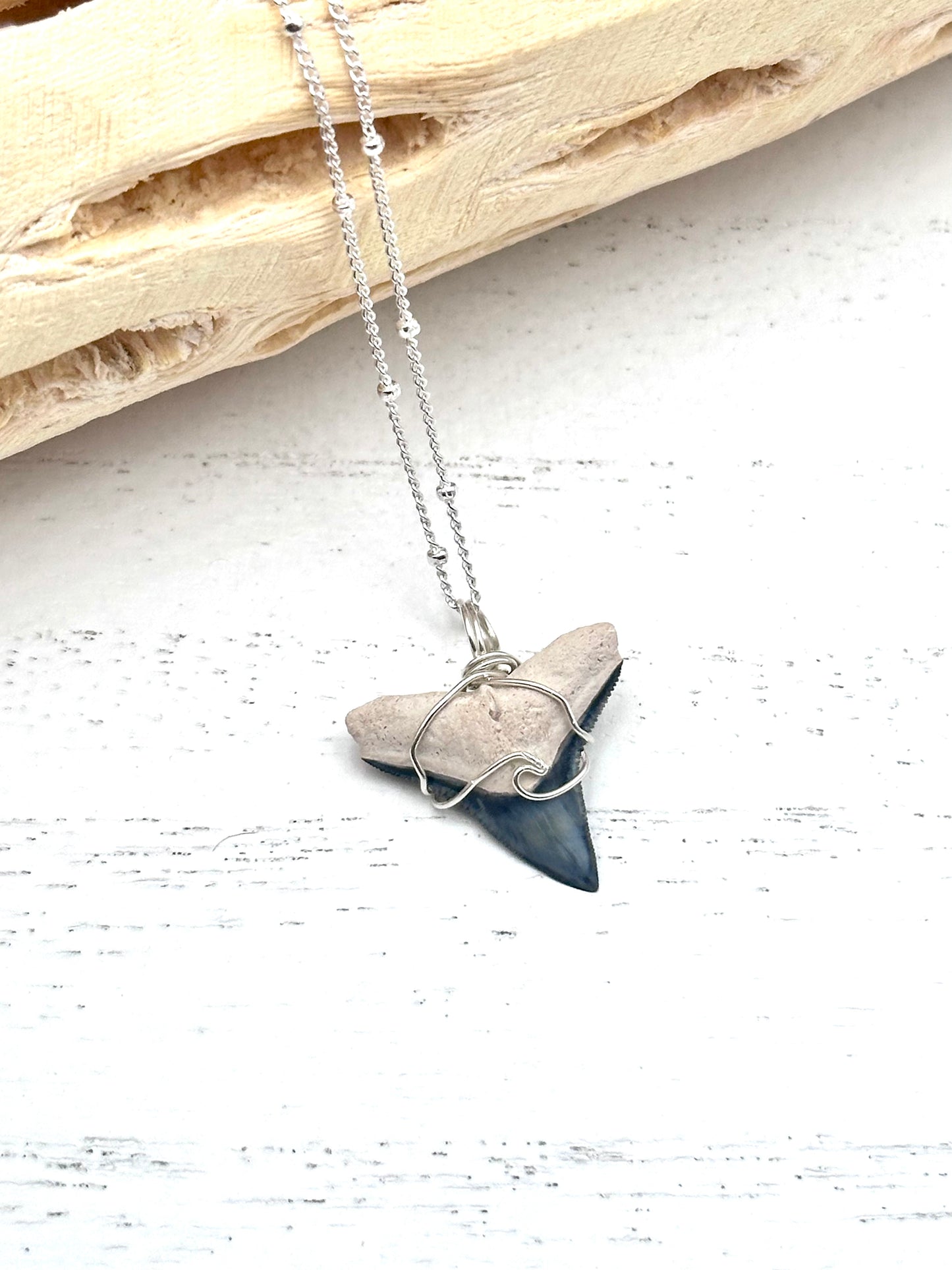 Wave Collection Dainty Bull Shark Tooth Pendant (Bone Valley, FL)