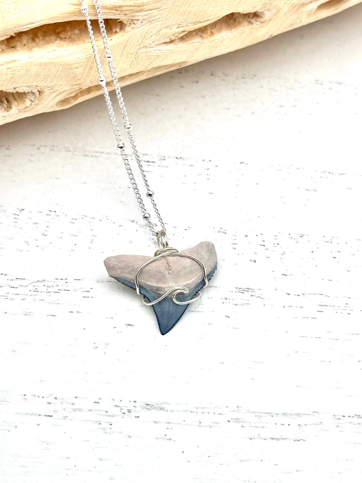 Wave Collection Dainty Bull Shark Tooth Pendant (Bone Valley, FL)