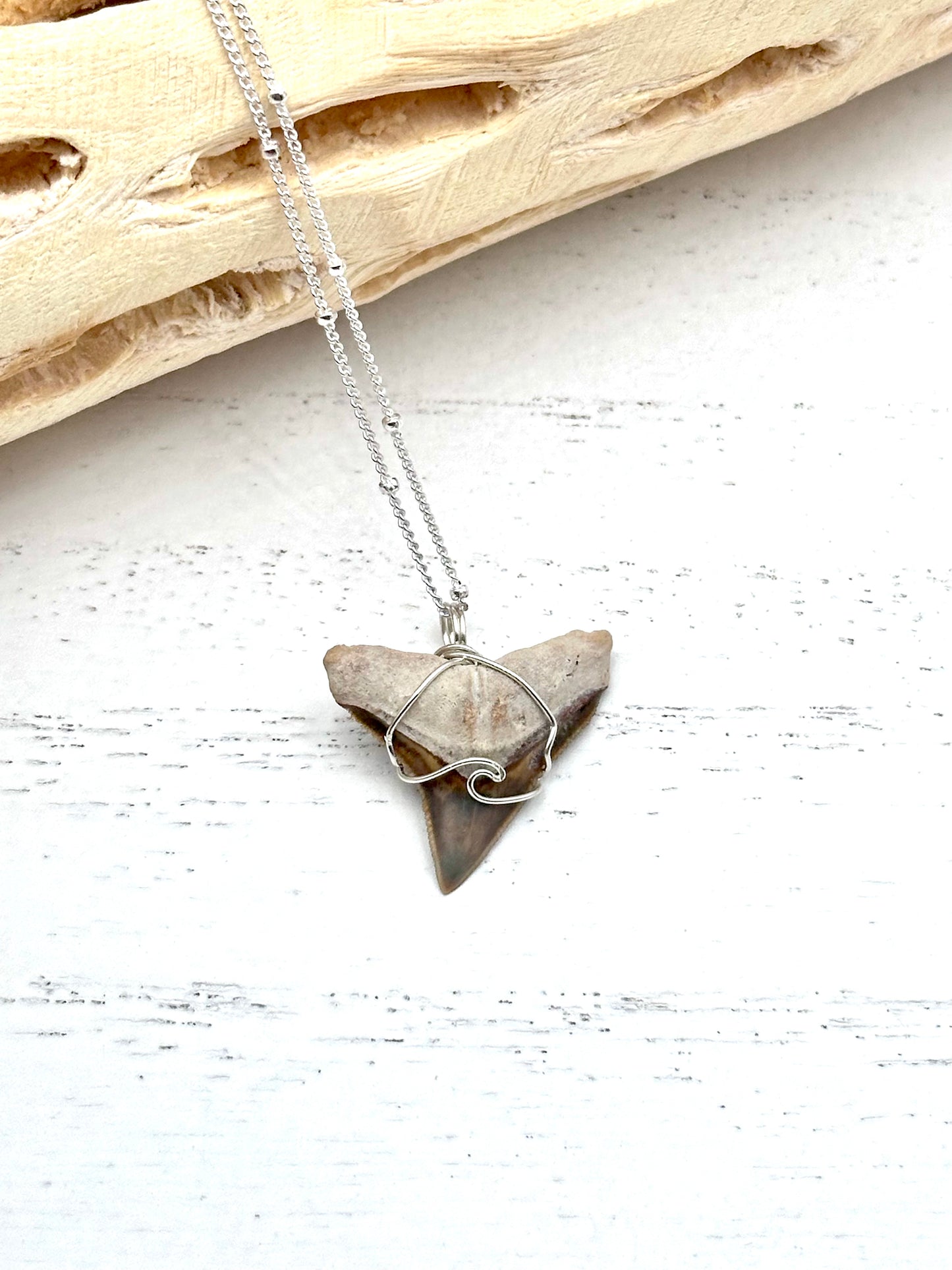 Wave Collection Dainty Bull Shark Tooth Pendant (Bone Valley, FL)