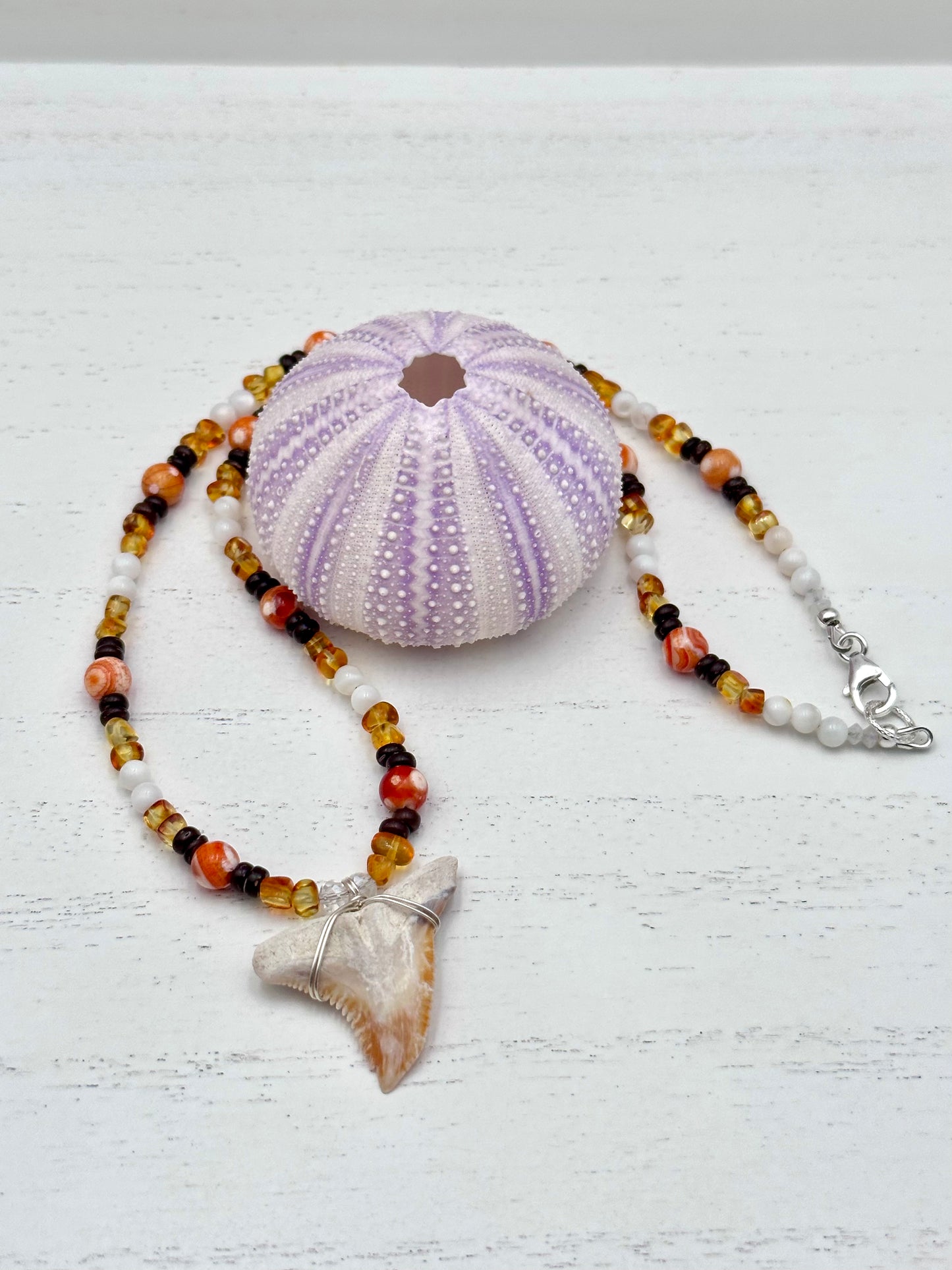🧡 Amber Daydream - Fossil Snaggletooth Necklace