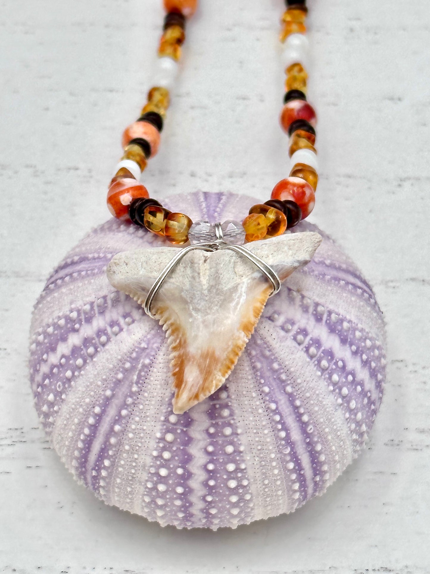 🧡 Amber Daydream - Fossil Snaggletooth Necklace